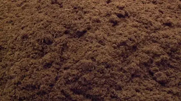Close-up view of colored wood fiber