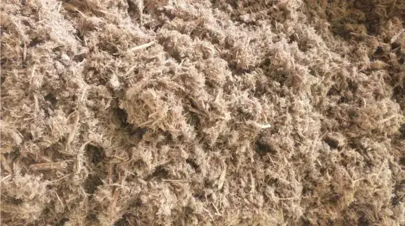 Wood fibre