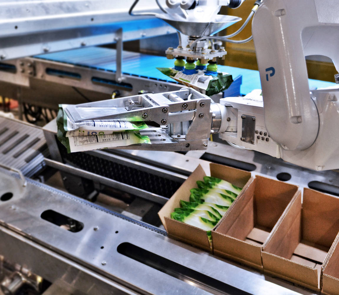 CPD series vertical packing