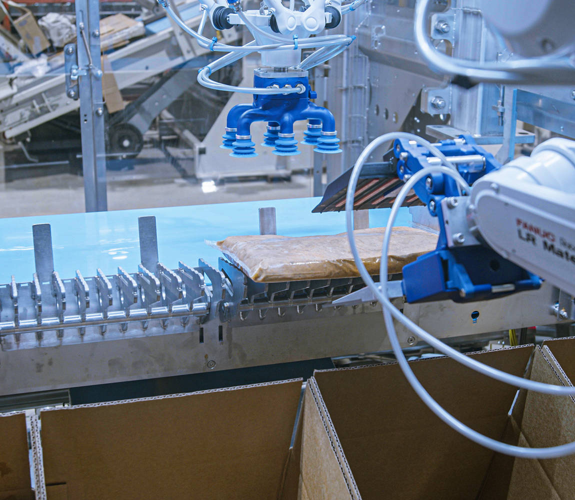High-speed robotic case packer gripper view