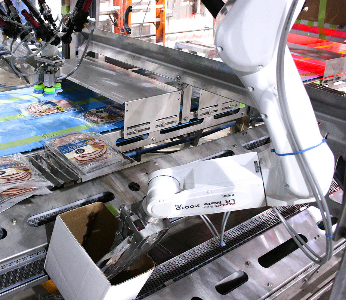 High-speed robotic case packer in out inside view