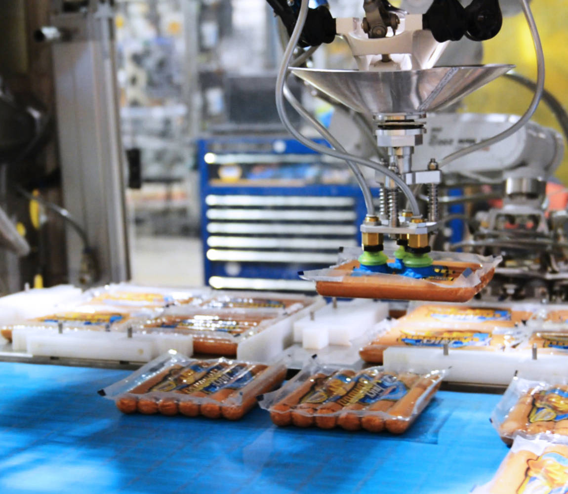High-speed robotic case packer tooling view