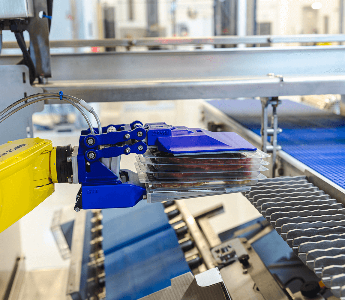CPD series case packer placing product into a box