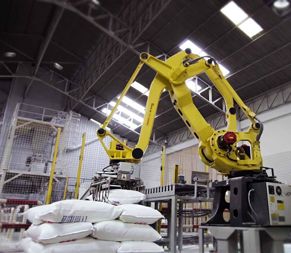 robotic-palletizer-RPL-Series-video-1_splashimage Robotic palletizer RPL Series floor view