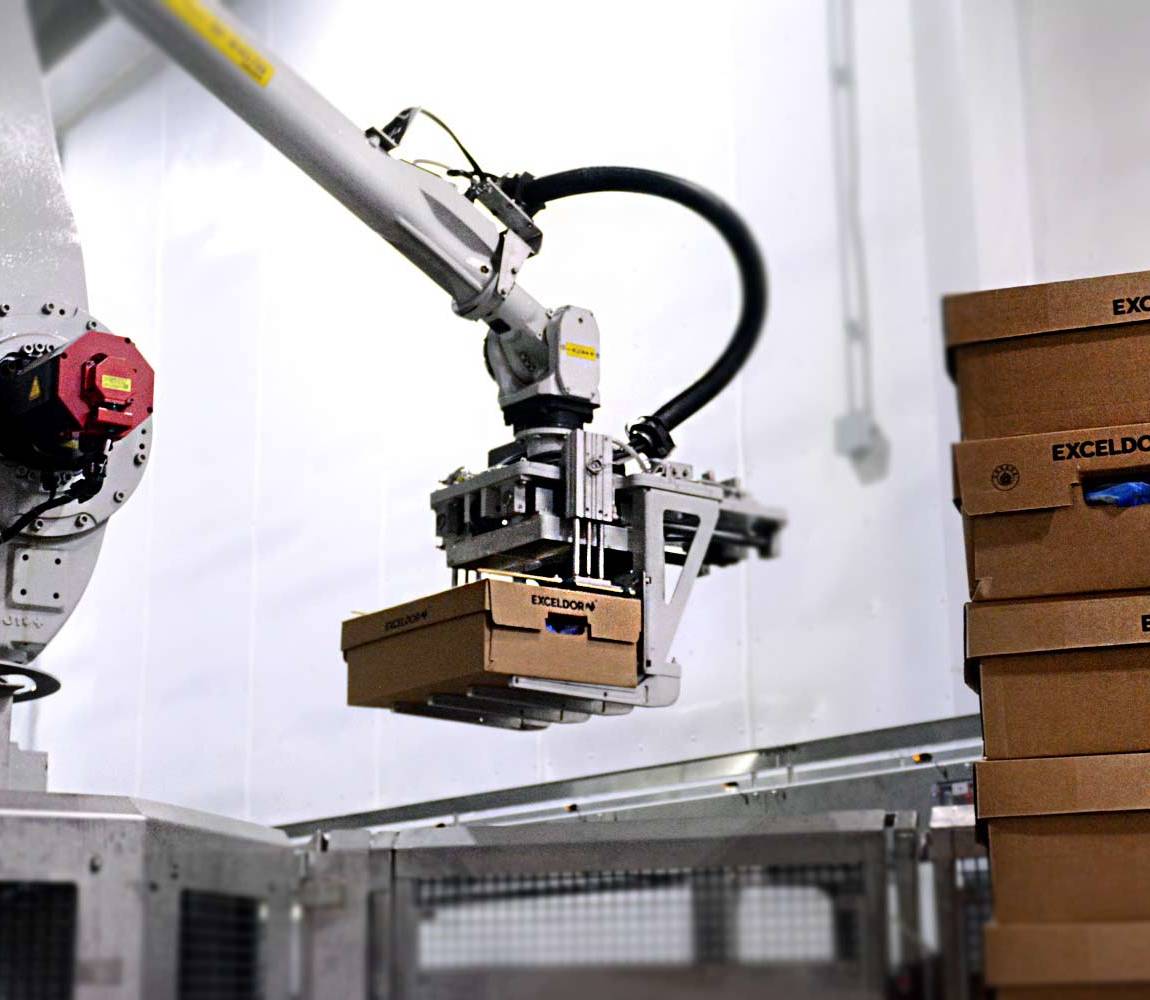 Robotic palletizer taking boxes from a conveyor