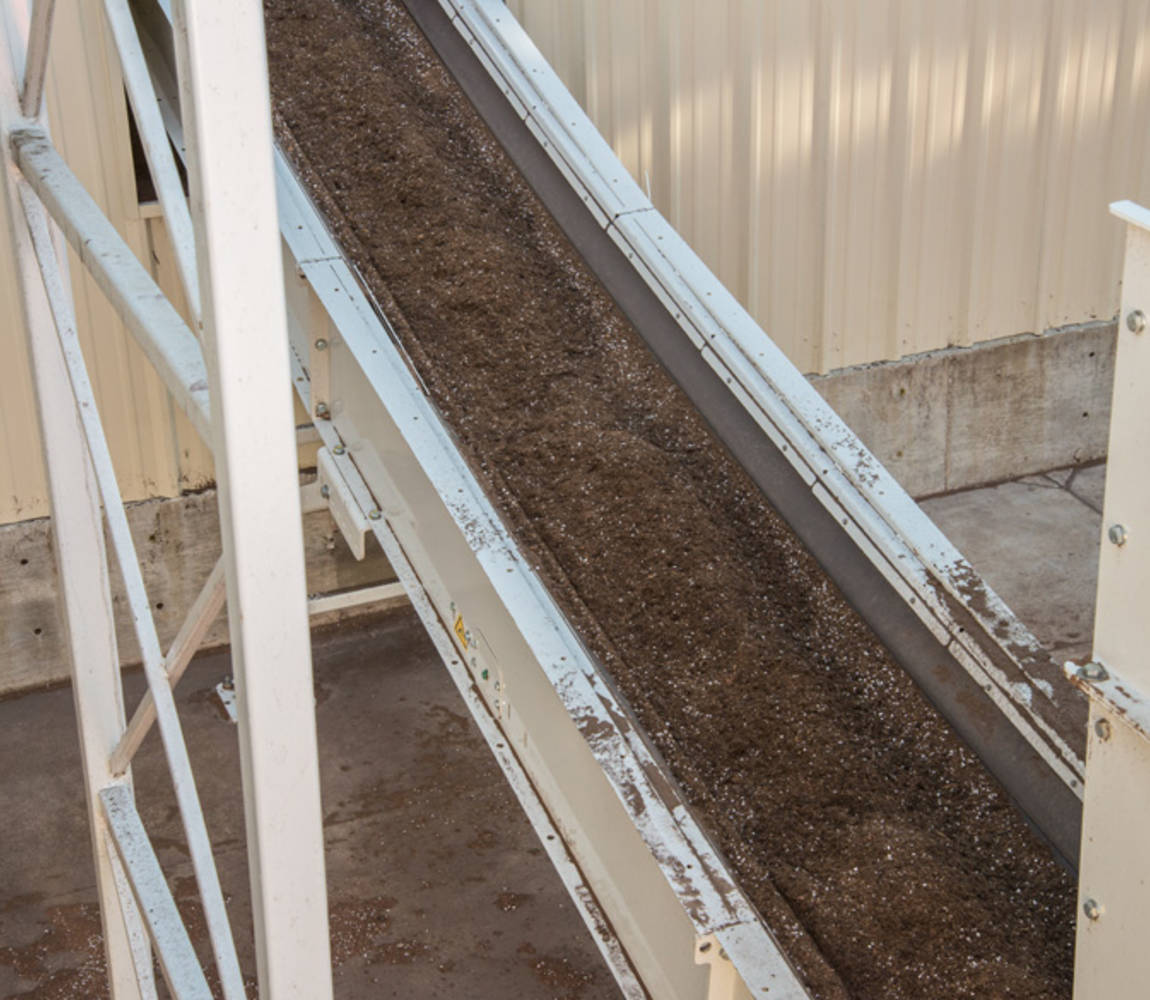 Bulk conveyor