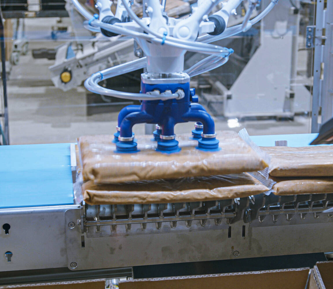  High-Speed Robotic Case Packer CHRONOS CPD Series video 