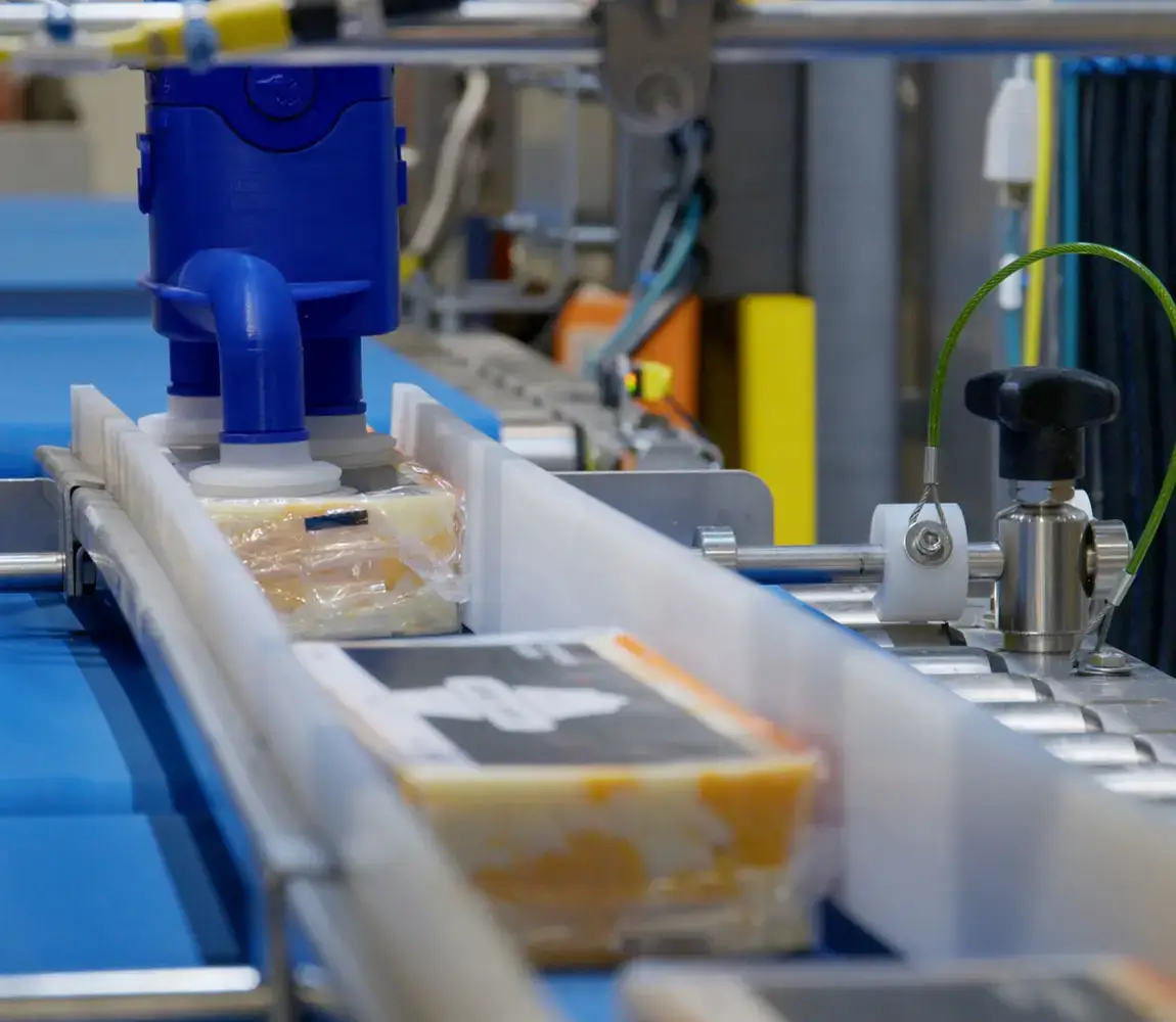 Case packer for the dairy industry video 