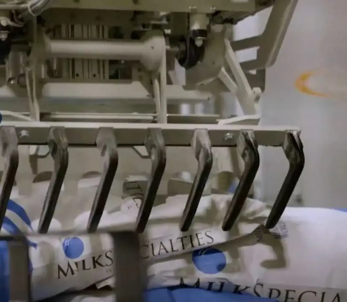 Robotic palletizer gripper picking up a bag