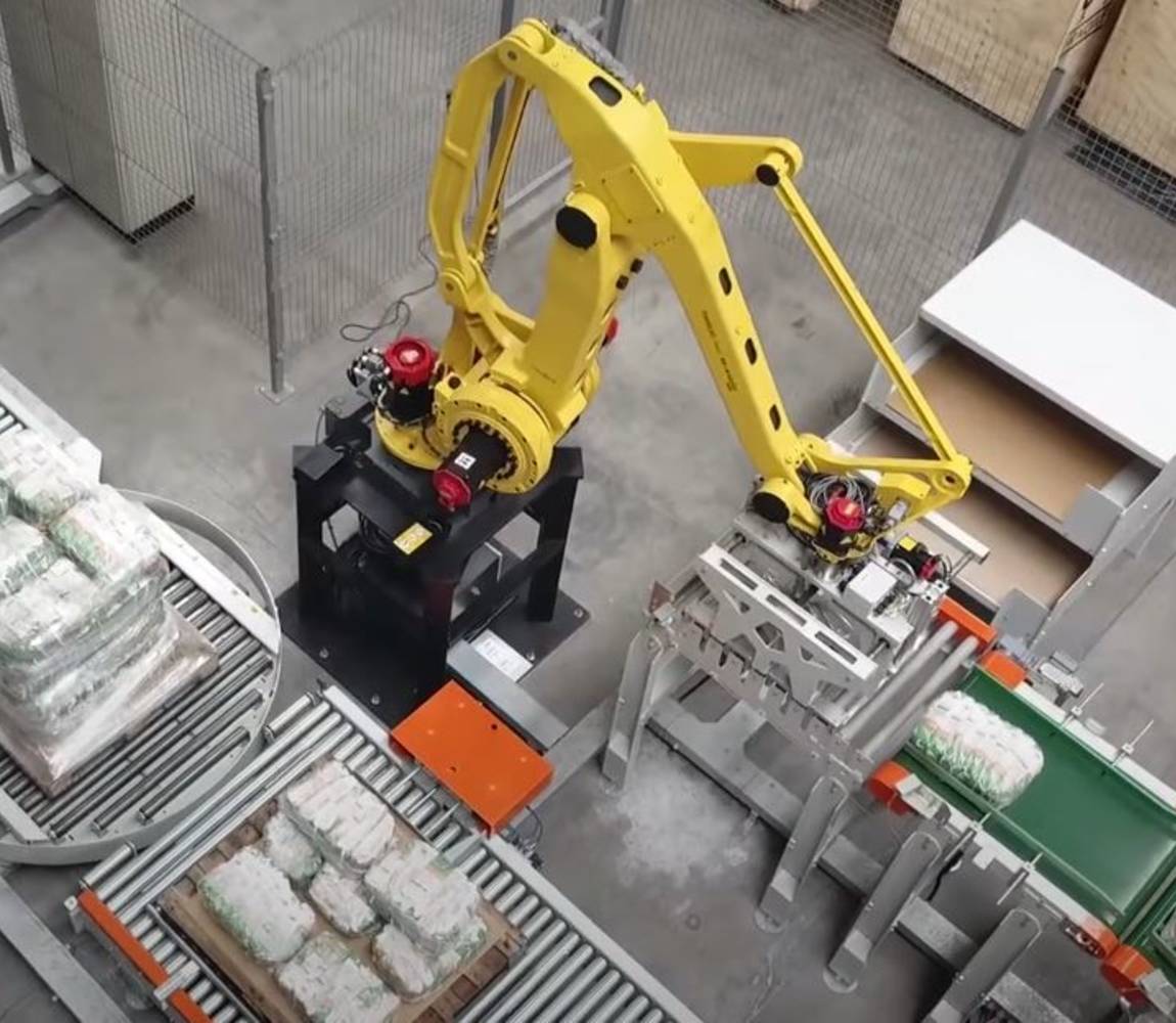 Robotic palletizer RPW Series - top view - Premier Tech