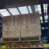 Conventional case palletizer APH-5360 Premier Tech