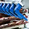 Robotic bag palletizer gripper