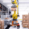 Robot palletizer on rails handling a carton box