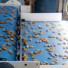 Almonds on an inspection conveyor