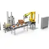 RDZ depalletizer placing boxes on conveyor 