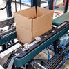 Case erector - conveyor view