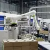 TOMA palletizer operating on production floor