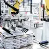 Robotic palletizer RPL-1000 gripper view