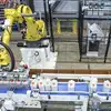  Heavy-Duty Robotic Case Packer CHRONOS CPB Series video 