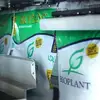 Form Fill and Seal Machine - bagger