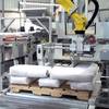 Robotic palletizer bags RPL-4111 pallet view