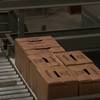 Boxes on conveyor - conventional case palletizing
