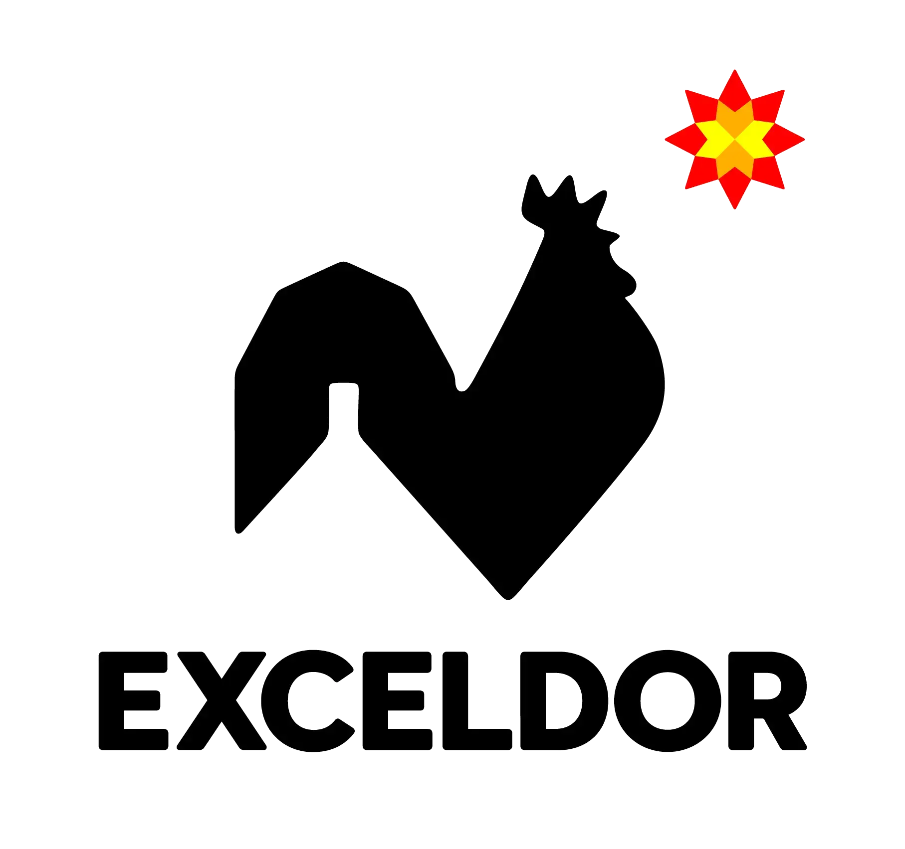 Logo Exceldor