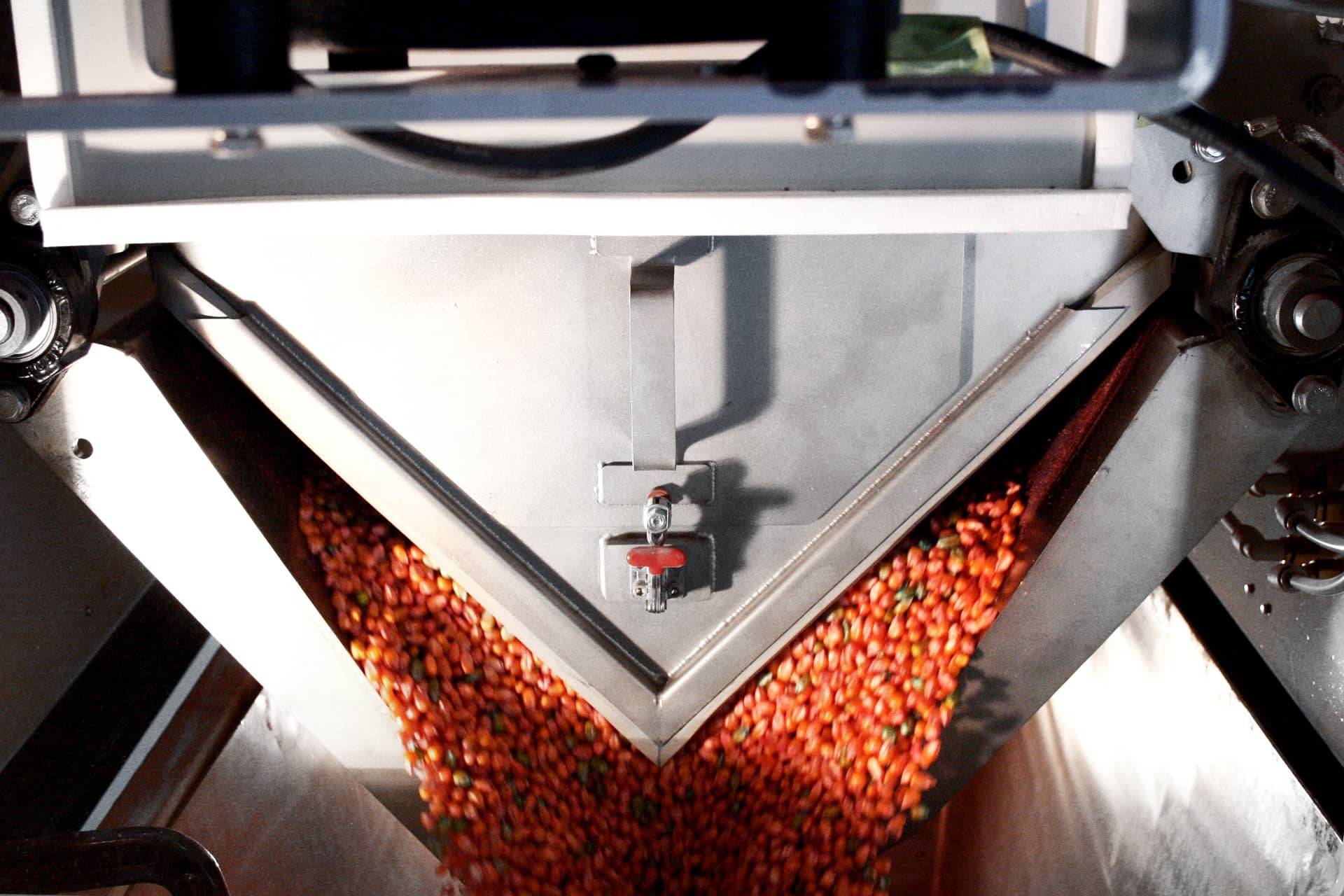 Bagging scale discharding seeds into a bag