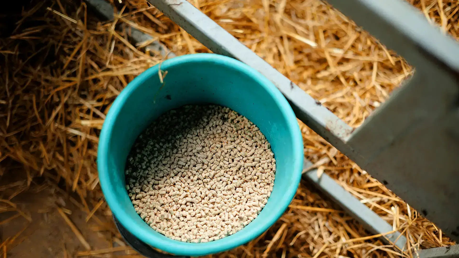 Animal feed & care