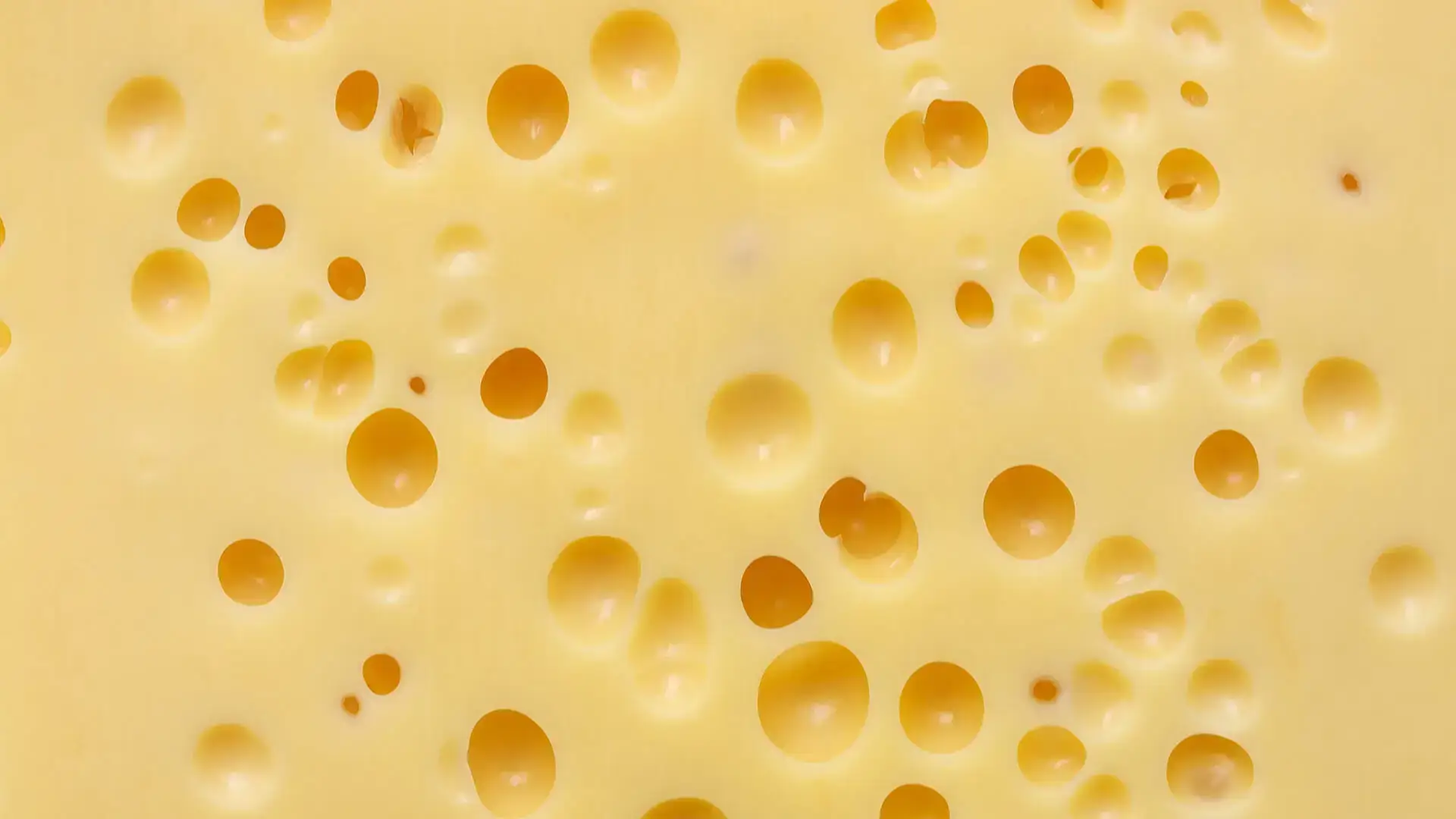 cheese