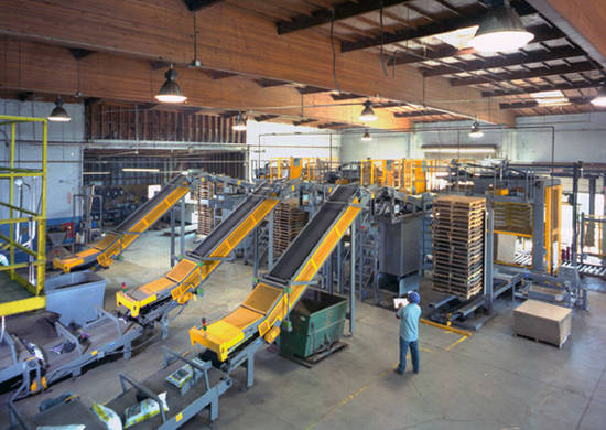 Bag palletizer
