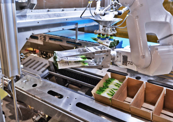 Robotic Case Packer | Case Packing Machine Robotic Case Packer | Case Packing Machine