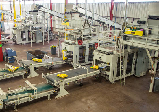 From fill and seal bagging machine