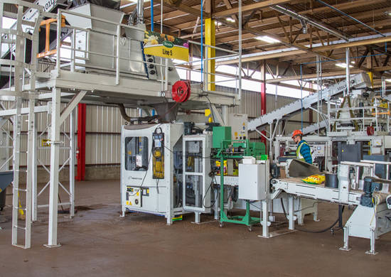 Open-mouth bagging machine