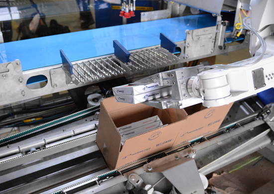 Robotic Case Packer | Case Packing Machine Robotic Case Packer | Case Packing Machine
