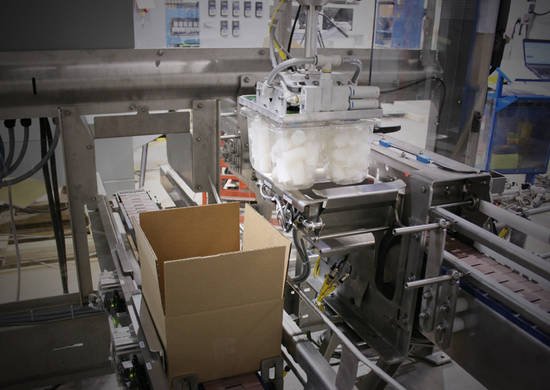 Robotic Case Packer | Case Packing machine Robotic Case Packer | Case Packing machine