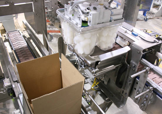 Robotic Case Packer | Case Packing machine Robotic Case Packer | Case Packing machine
